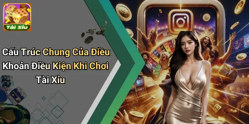 Điều Khoản Điều Kiện