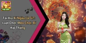 Tài Xỉu Xí Ngầu Là Gì?: Luật Chơi, Mẹo Chơi, Bí Kíp Thắng 4 Tài Xỉu Xí Ngầu Là Gì?