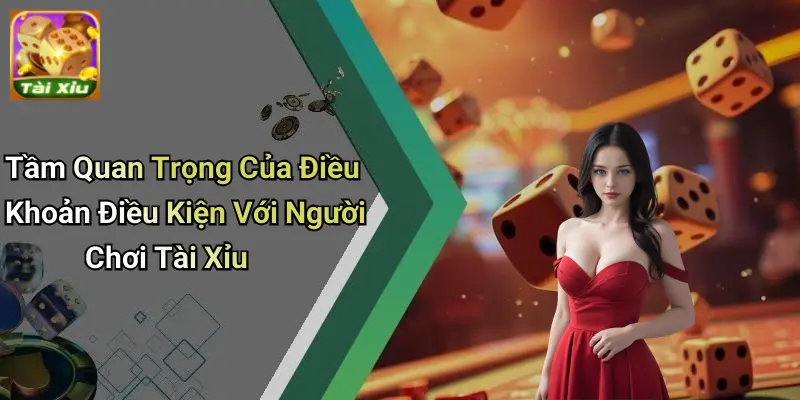 Điều Khoản Điều Kiện