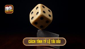 cách tính tỷ lệ tài xỉu