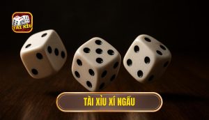 thumb tai xiu xi ngau