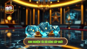 Hiểu rõ bản chất và xác suất trong Tài Xỉu