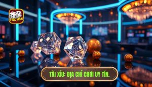 Tài xỉu online nên chơi ở đâu? Top 1 địa chỉ uy tín nhất 2024