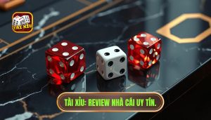 Review Nhà Cái Tài Xỉu Uy Tín 2024 - Kinh Nghiệm Chọn Sân Chơi
