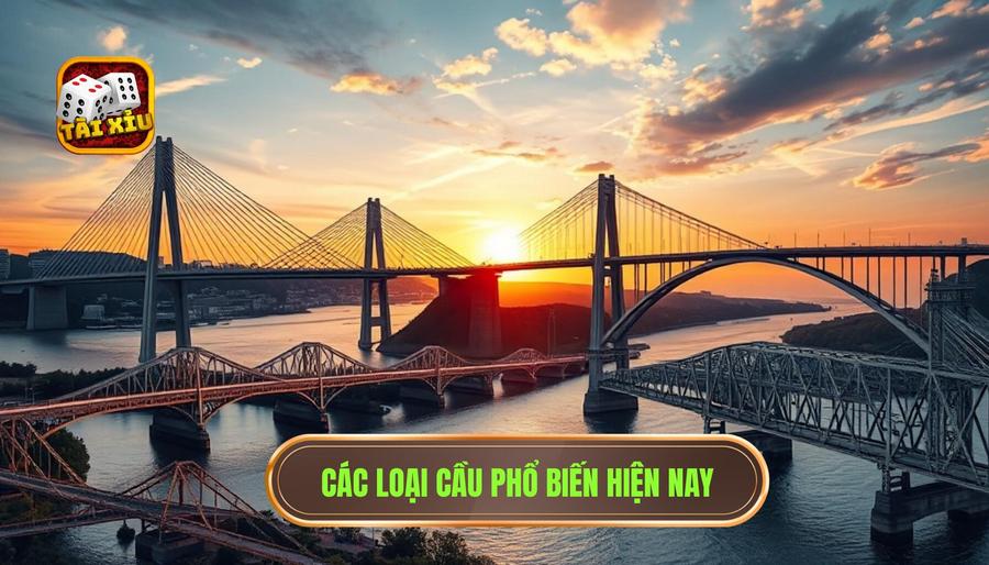 Có nên theo cầu tài xỉu hay không? Phân tích chuyên sâu từ cao thủ 3 3. Các loại cầu phổ biến hiện nay