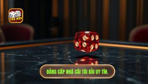 Có nên theo cầu tài xỉu hay không? Phân tích chuyên sâu từ cao thủ