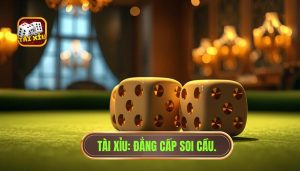 Khi nào nên theo cầu tài xỉu? Nghệ thuật đọc vị bảng cầu từ cao thủ